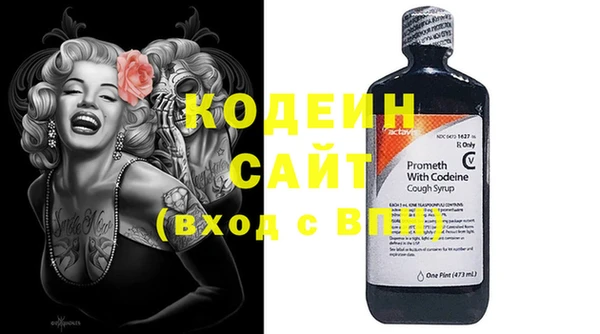 2c-b Бородино